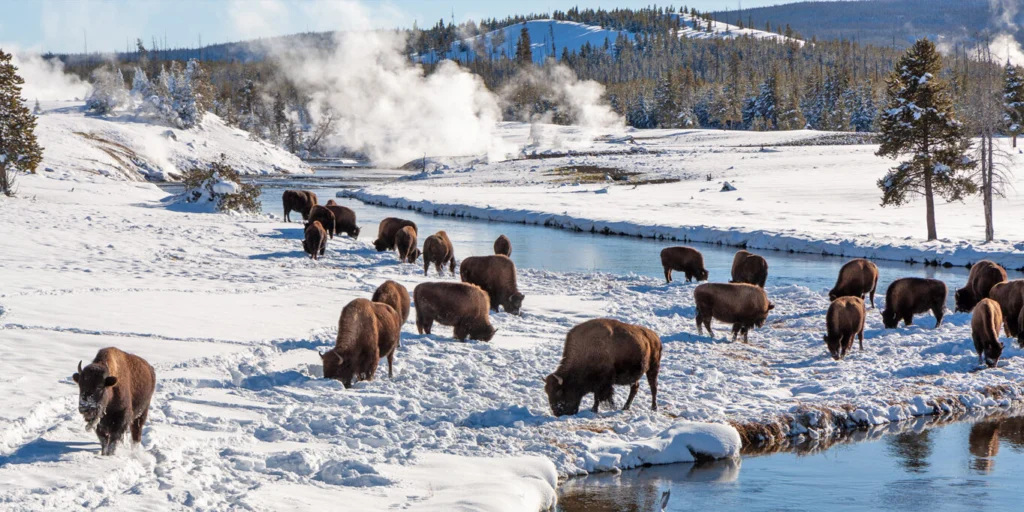 Winter RV Camping: Top 10 Destinations & Cold-Weather RV Tips 13 yellowstone